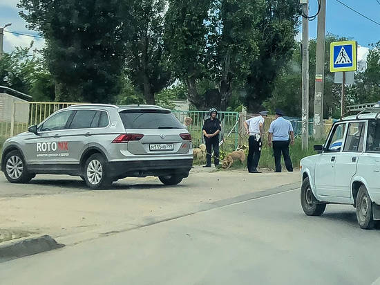 Бдительные волгоградцы вызвали полицию из-за игрушечной гранаты