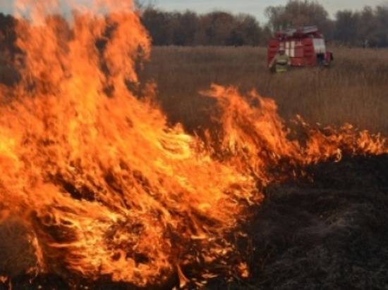 Кубанские добровольцы проведут противопожарный экспресс-курс в Волгограде