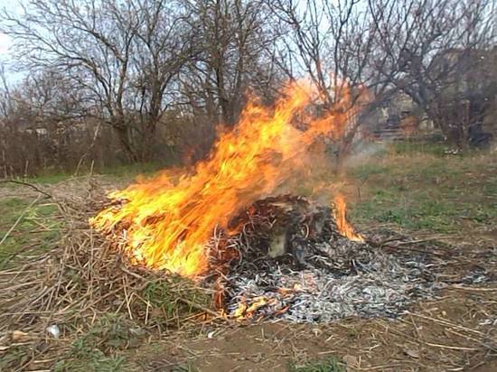 Штраф до 2 тысяч рублей грозит волгоградке за сжигание мусора