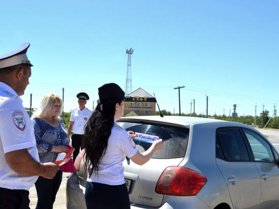 Профилактические мероприятия "Трасса без ДТП" пройдут в Волгоградской области