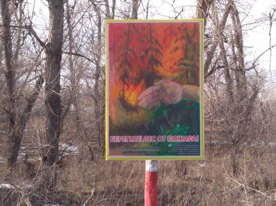 В Волгоградской области ограничение на пребывание в лесах продлили до 8 августа
