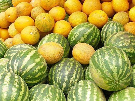 В Волгограде выделено 50 официальных точек продаж бахчевых культур