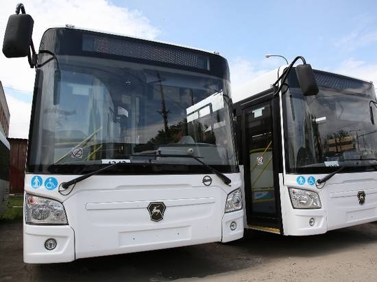 Новый автобусный маршрут начнет обслуживать речной вокзал в Волгограде