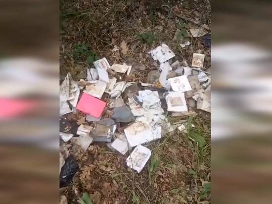 Грибники нашли в лесу под Волгоградом десяток вскрытых посылок из Китая