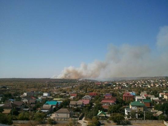 На западе Волгограда локализовали пожар в сосновом бору