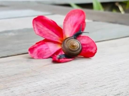 Фото: www.instagram.com