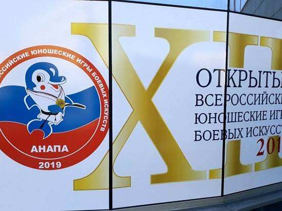 Волгоградцы выиграли 28 медалей на Всероссийских юношеских Играх боевых искусств
