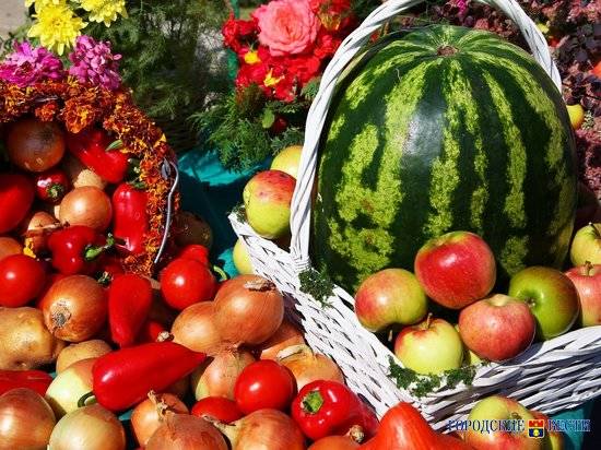В Среднеахтубинском районе может появиться современный овощной рынок