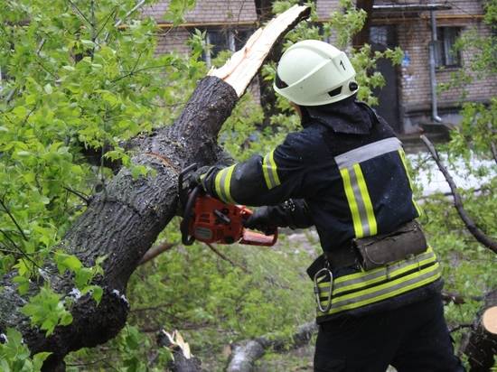 Упавшее в Ворошиловском районе дерево оборвало провода и чуть не сорвало соревнования