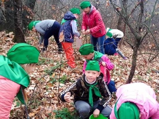 Волгоградцы приняли участие в акции «Сохраним лес»