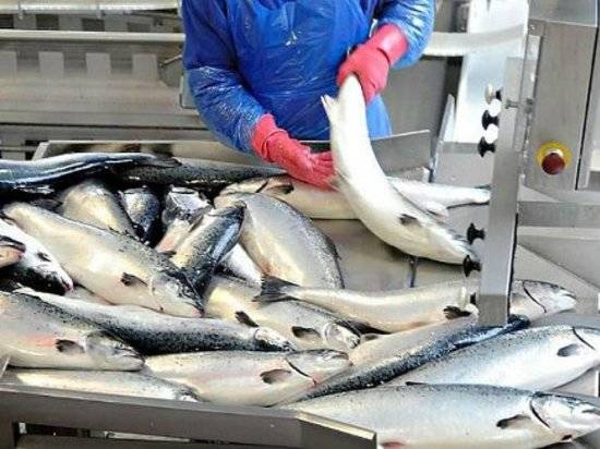 В Волгограде за антисанитарию оштрафовали предприятие по переработке рыбы