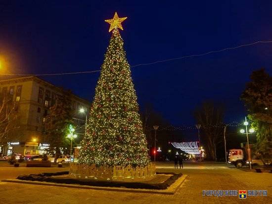 Жителям Волгоградской области предлагают поработать на охране новогодних елок