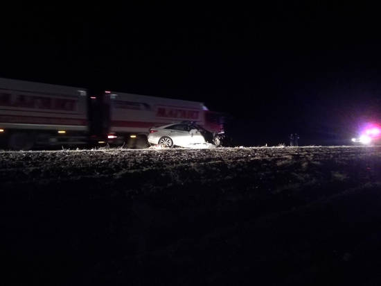 В Светлоярском районе животное на дороге стало причиной смертельной аварии