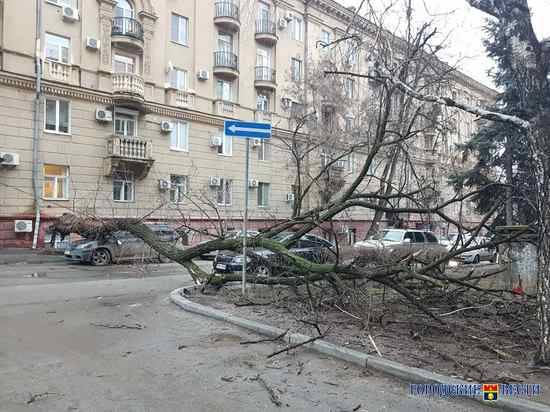 В Волгограде ликвидируют последствия шквалистого ветра