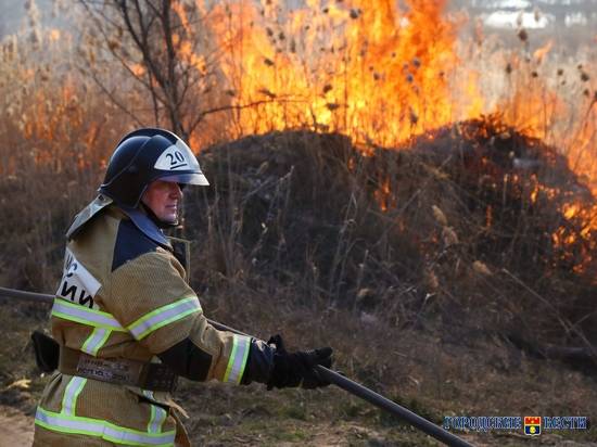 В Волгоградской области на учениях потушили условный лесной пожар