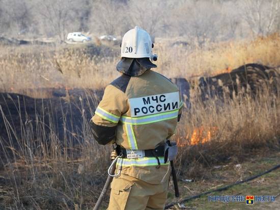 За сутки в Волгоградской области 25 раз горели трава и мусор