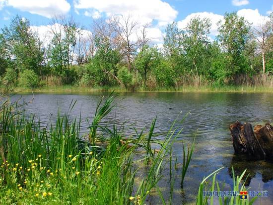 В Волгоградской области расчистят более 7 километров реки Арчеда