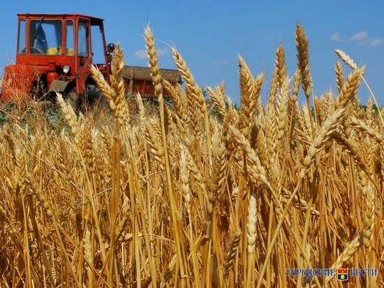 Волгоградские хлеборобы собрали первый миллион тонн зерна