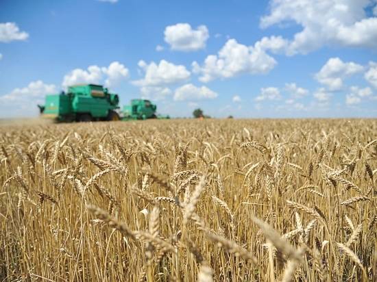 Андрей Бочаров: "Волгоградский регион перевыполнил план по обеспечению продовольственной безопасности"