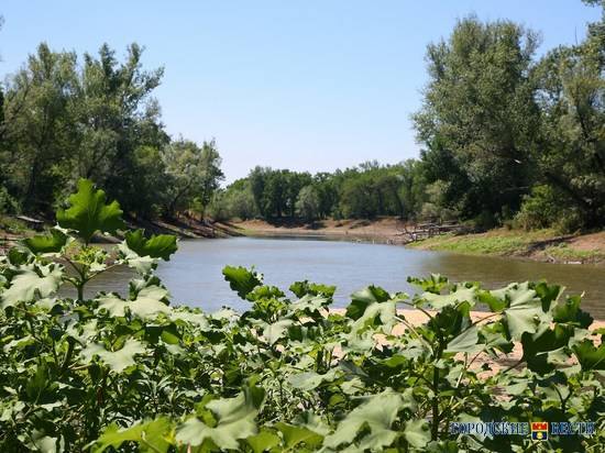 К акции «Чистый берег» присоединились 13 районов Волгоградской области