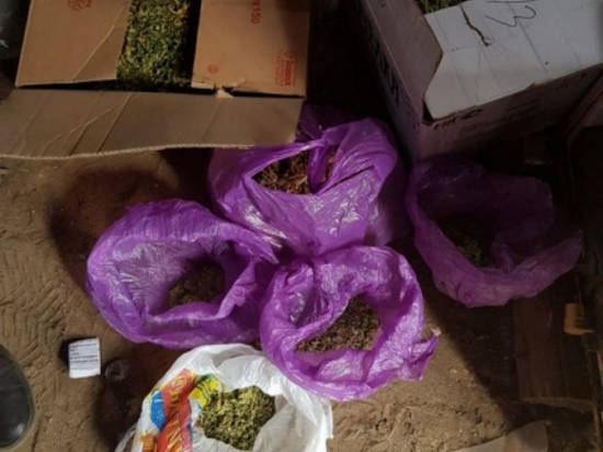 Больше килограмма марихуаны изъяла полиция у безработного из Михайловки