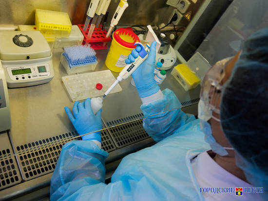 Волгоградские медики получили 20 тысяч экспресс-тестов на коронавирус