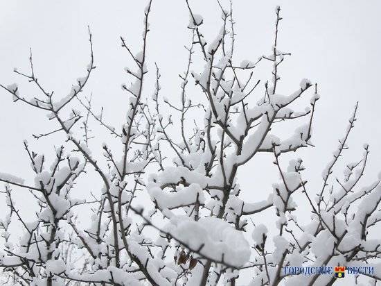 Снег, сильный ветер и гололед ожидаются в Волгоградском регионе в ближайшие сутки