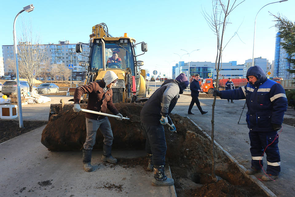 «Выкопали все, что могли»: Виталий Лихачев объяснил, почему в Волгоград покупают елки по 50 тысяч