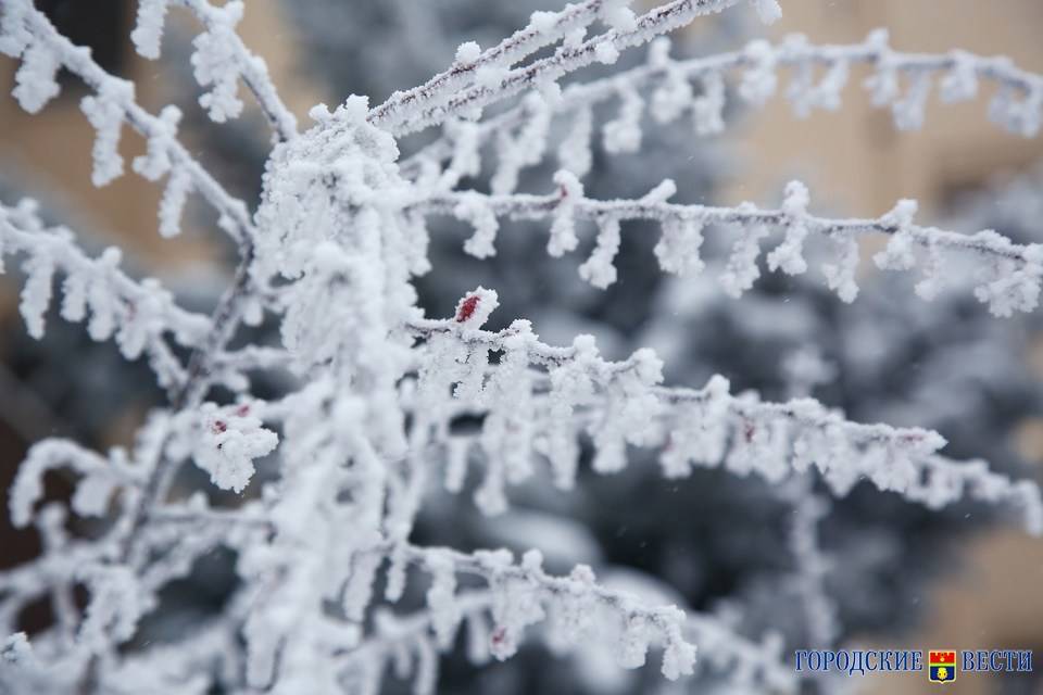 Снег, дождь и туман ожидаются в Волгоградской области 29 марта