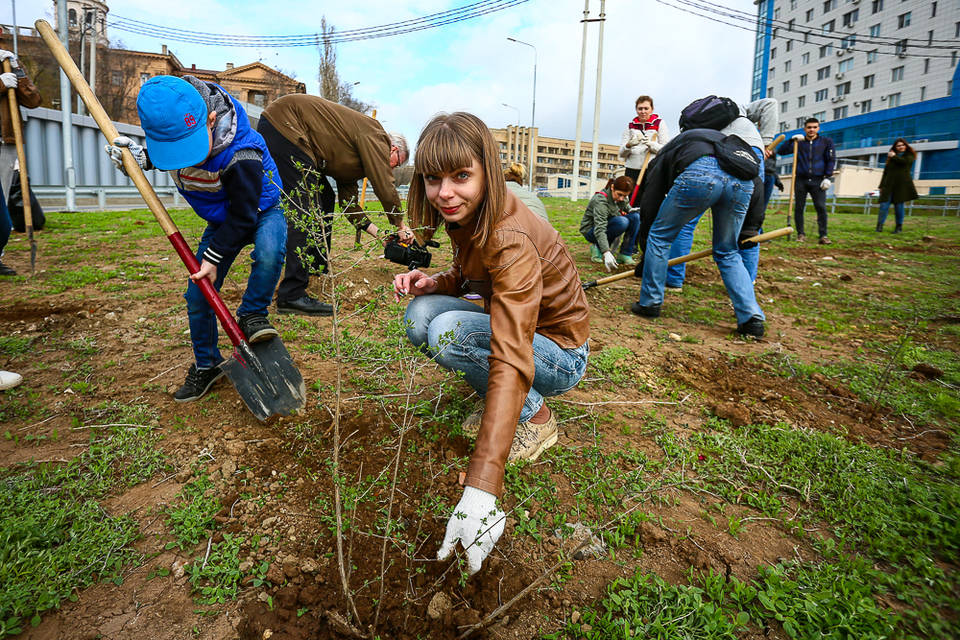«Высадим 500 деревьев»: Волгоград начали отмывать от зимней грязи