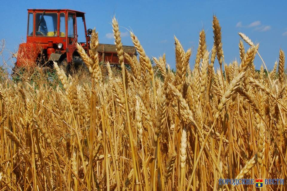 Волгоградская область вступает в уборочную кампанию зерна