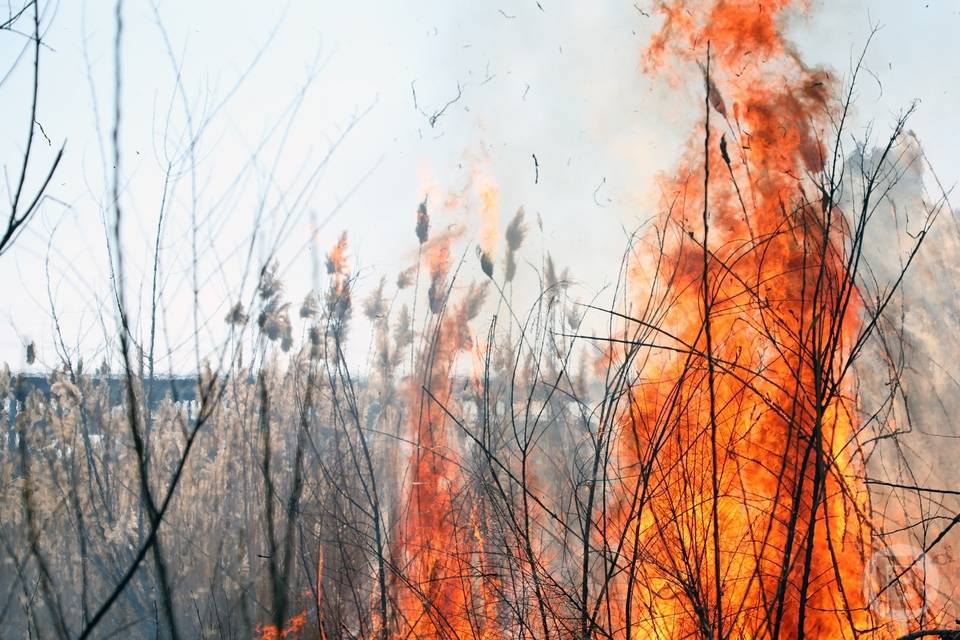 В Волгограде рядом с нефтезаводом ликвидируют ландшафтный пожар