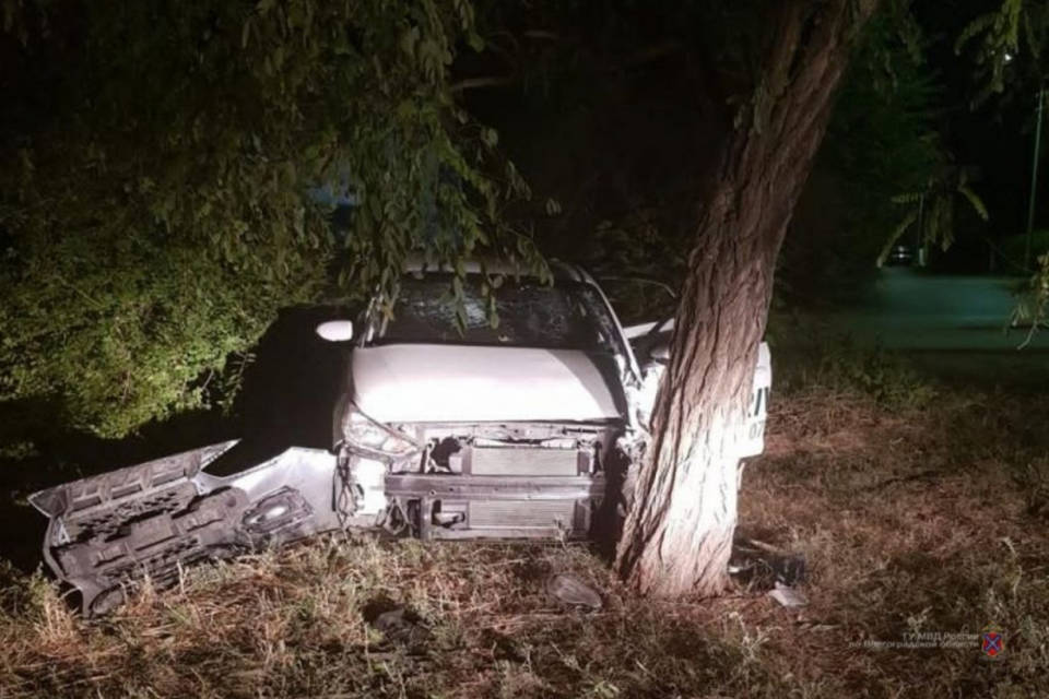 В Волжском автомобиль разбился о дерево