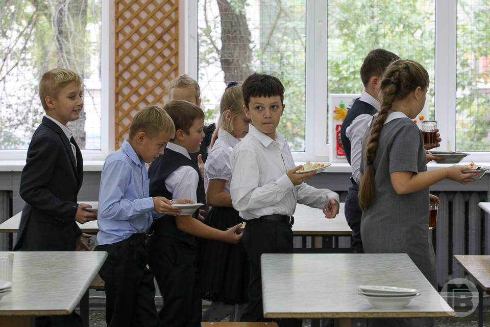 В шести волгоградских школах ограничены занятия из-за вспышки ОРВИ