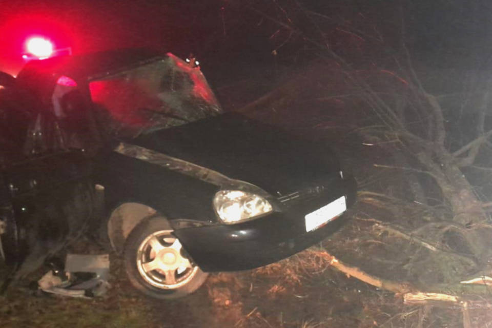 Под Волгоградом водитель врезался в дерево и погиб