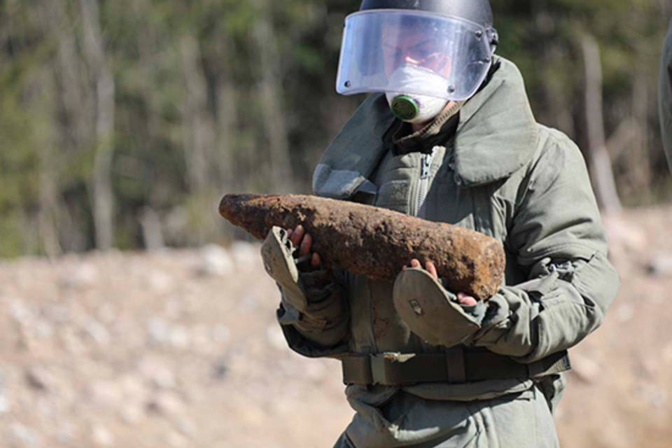 Под Волгоградом фермер на своем поле нашел 33 мины и ручные гранаты