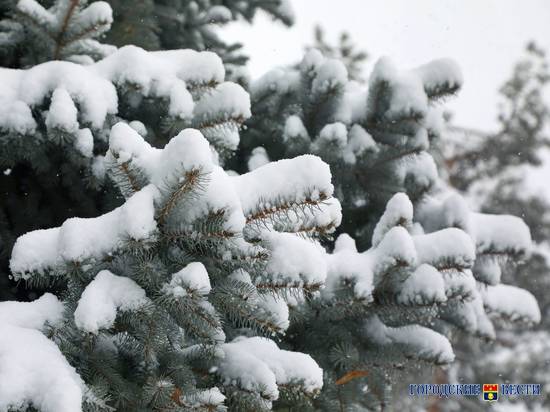 6 января в Волгограде ожидается снег при +3 градусах