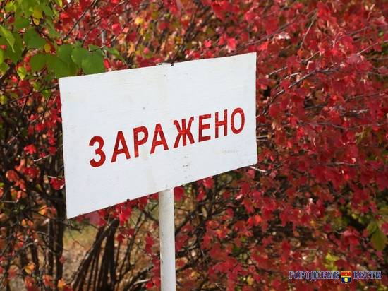 В 3 районах Волгоградской области выявлено бешенство