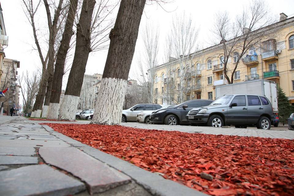 С замены магистрального водопровода стартовало благоустройство пешеходной зоны на улице Казахской