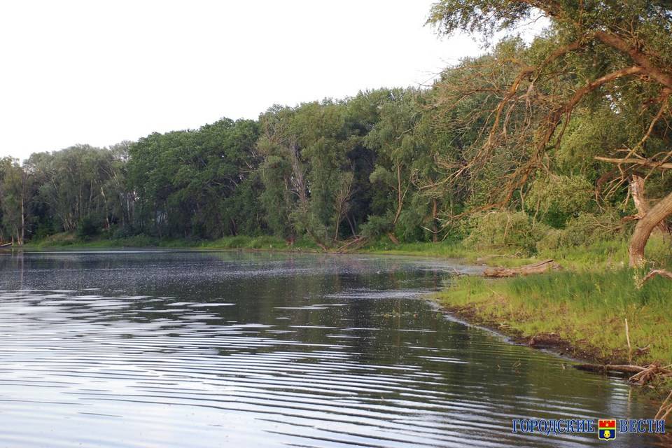 Экосовет обратил внимание на состояние малых рек в Волгоградской области