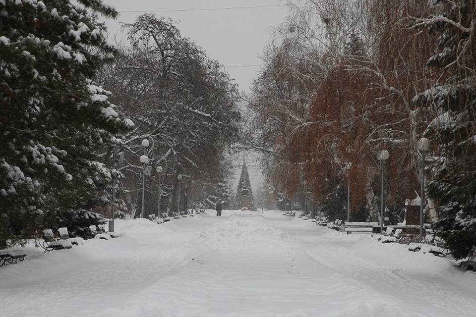 Снежные вихри закружат в Волгограде 14 января