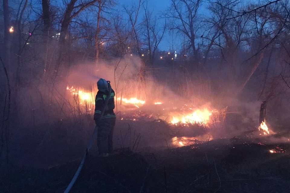 На юге Волгограда после ландшафтного пожара обнаружили тело женщины