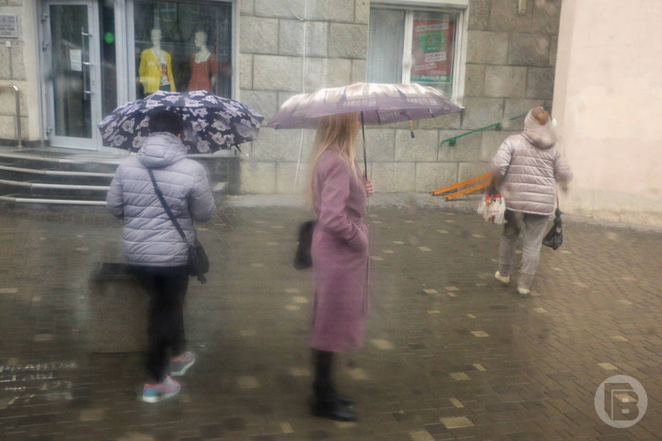 В Волгограде заморосят дожди в середине недели