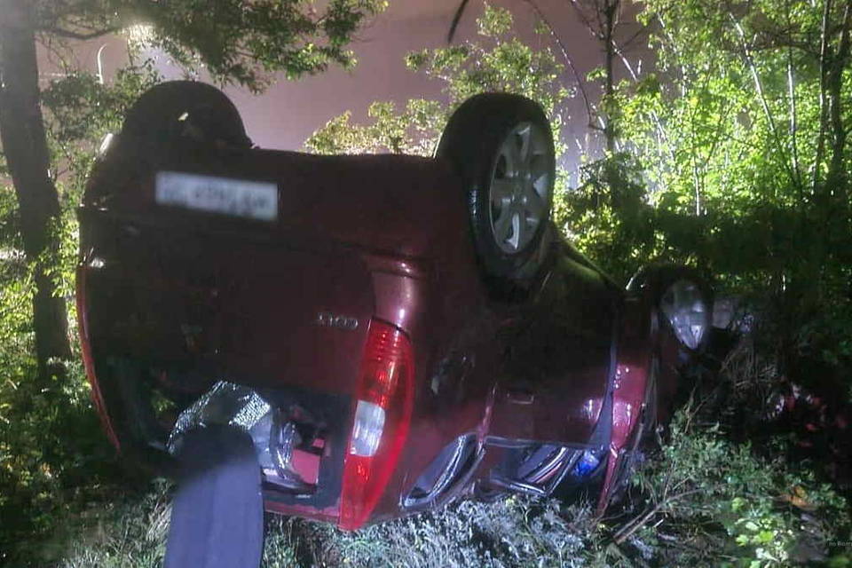 В Волгограде водитель иномарки по дороге в СНТ врезался в дерево и погиб