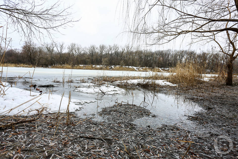 Экологи обследуют 18 рек в Волгоградской области с целью их восстановления