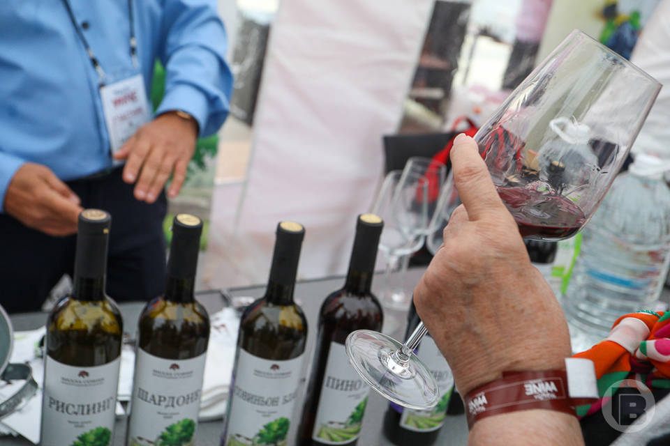 Волгоградская винодельня вошла в число лучших винных хозяйств России