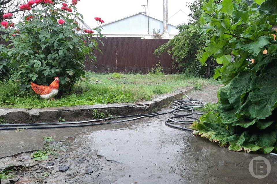 В Волгоградской области 28 июня ожидается дождь