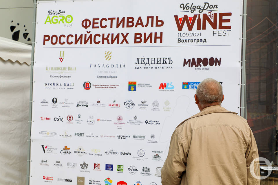 Волгоградские виноградари готовятся удивить гурманов
