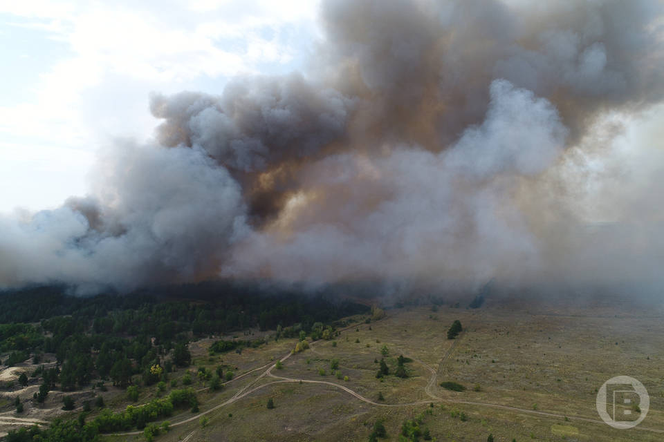 Под Волгоградом ущерб от лесного пожара по вине фермера превысил 3,6 млн рублей