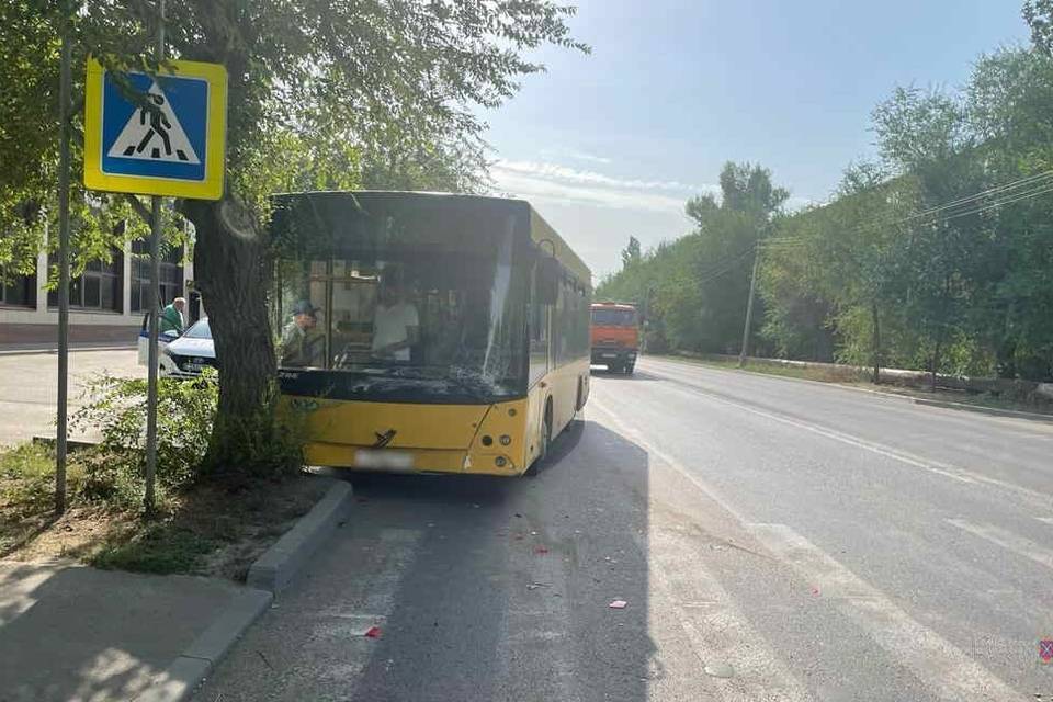 Под Волгоградом автобус врезался в иномарку